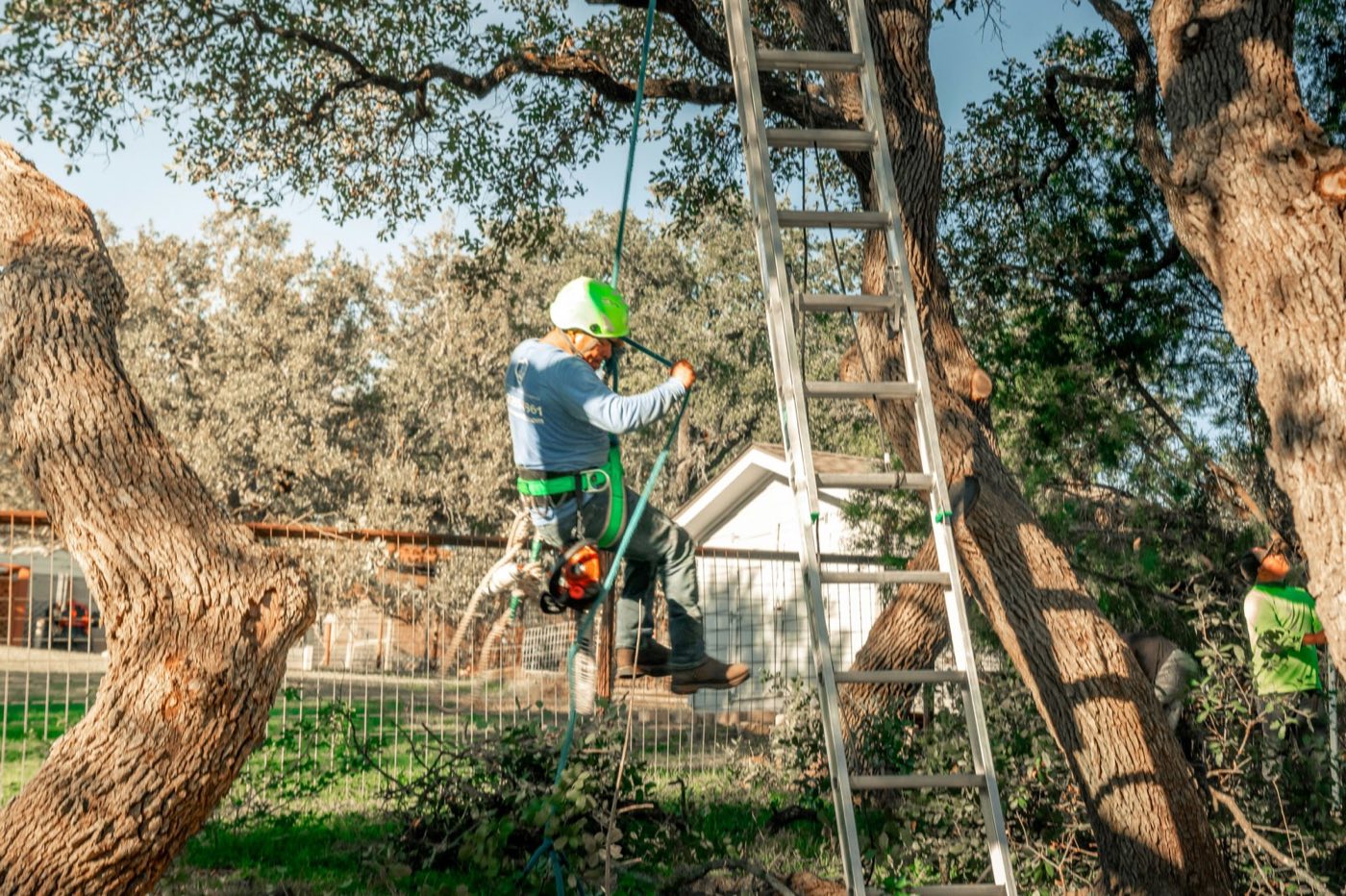 Land clearing service